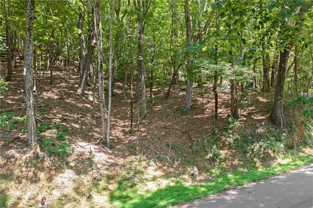 Photo of 37 Petit Ridge Drive