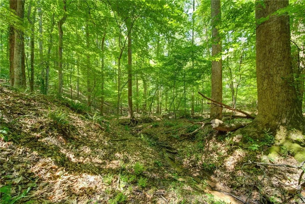 Photo of 1981 Mountain Road