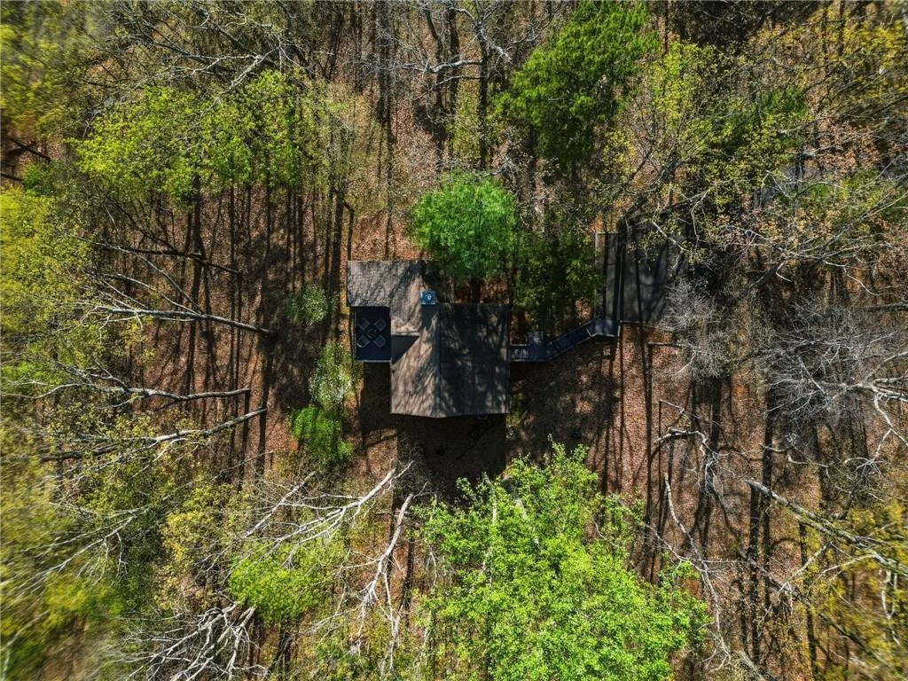 Photo of 229 Tea Berry Lane