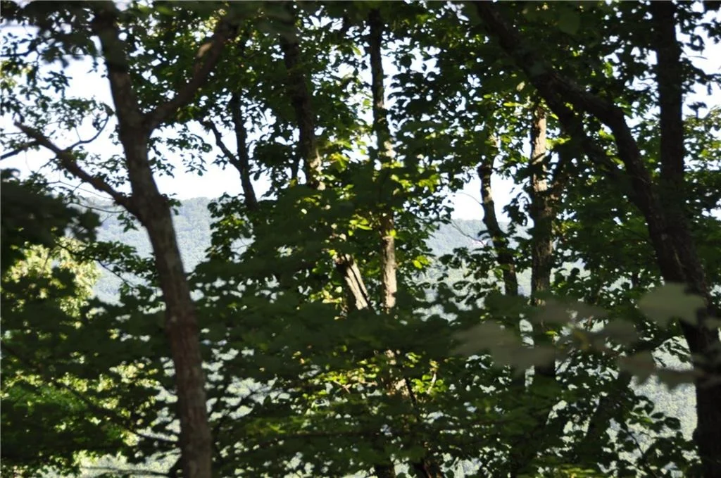 Photo of 8261 Cox Mountain Drive