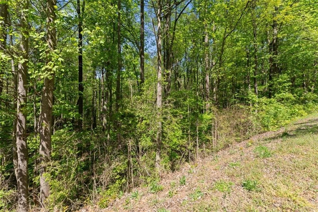 Photo of 4346 Woods Bridge Road