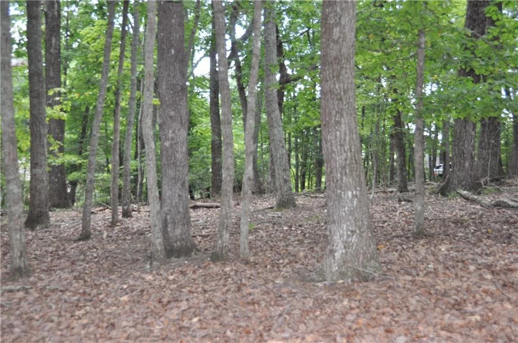 Photo of 2468 Wedgewood Drive