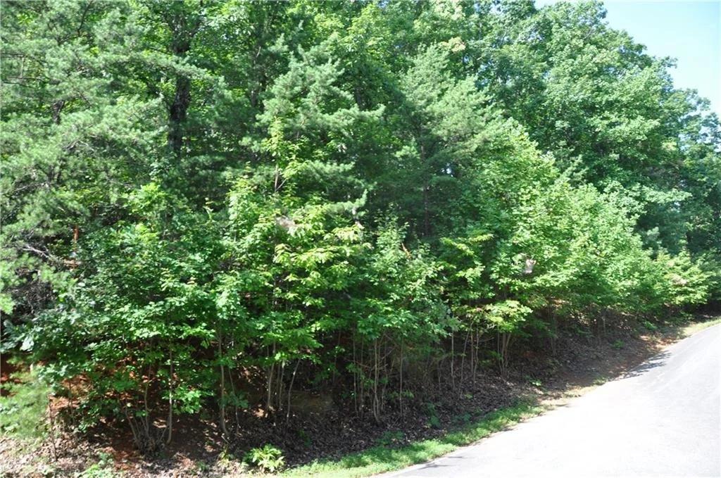 Photo of 8261 Cox Mountain Drive