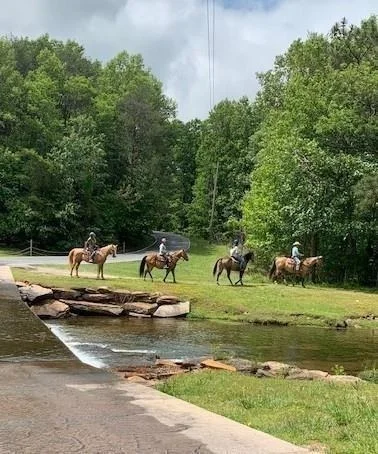 Photo of 147 Laurel Mill Trail