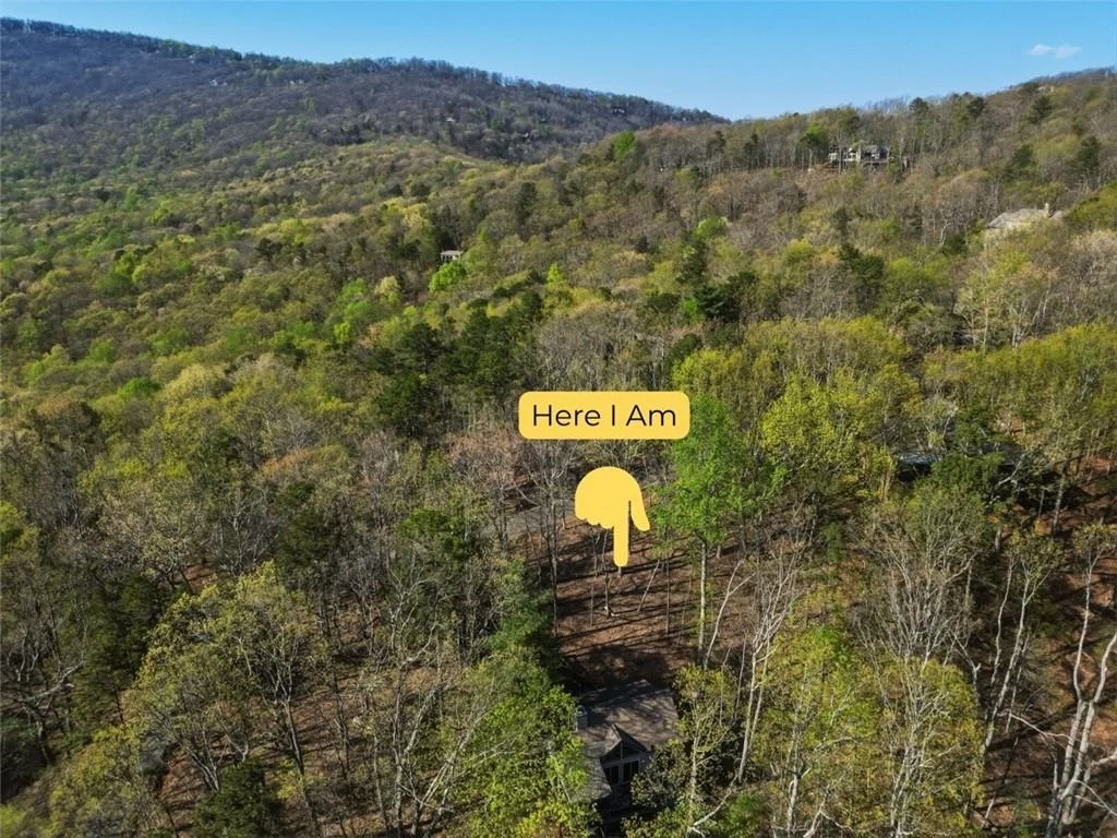 Photo of 229 Tea Berry Lane