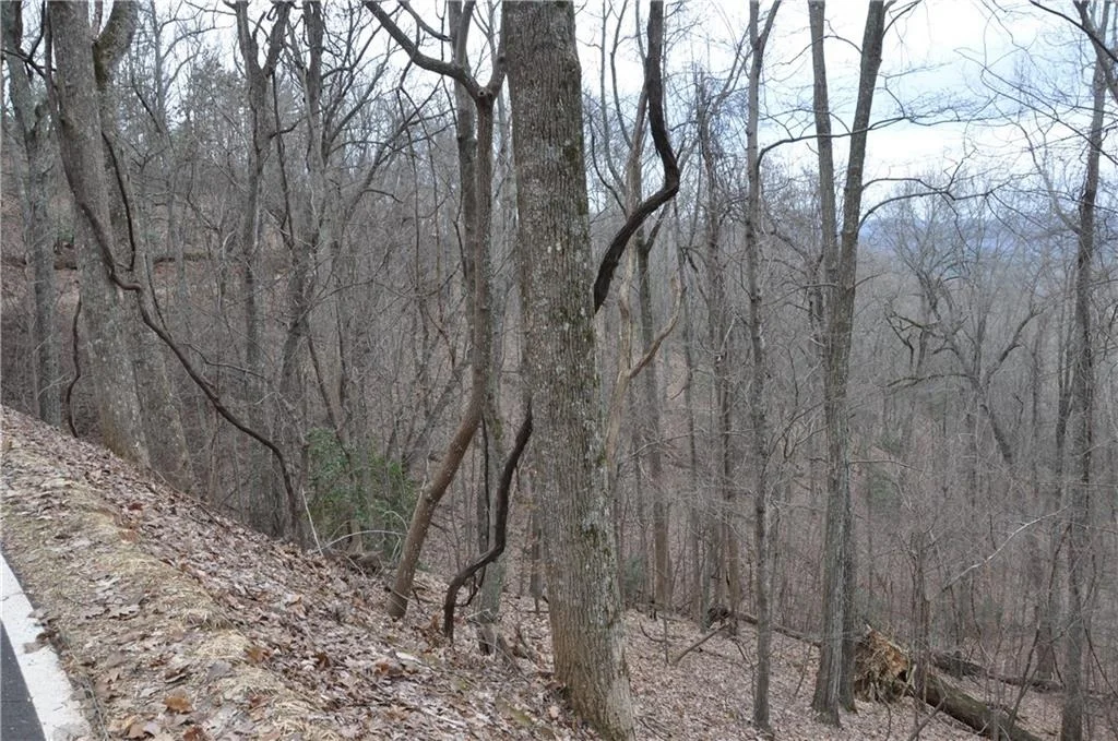 Photo of 3012 Wild Turkey Bluff