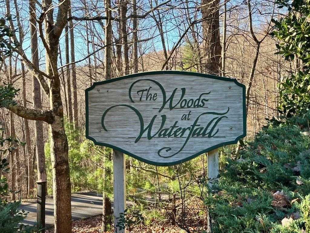 Photo of LOT #1 Forest Canopy Way