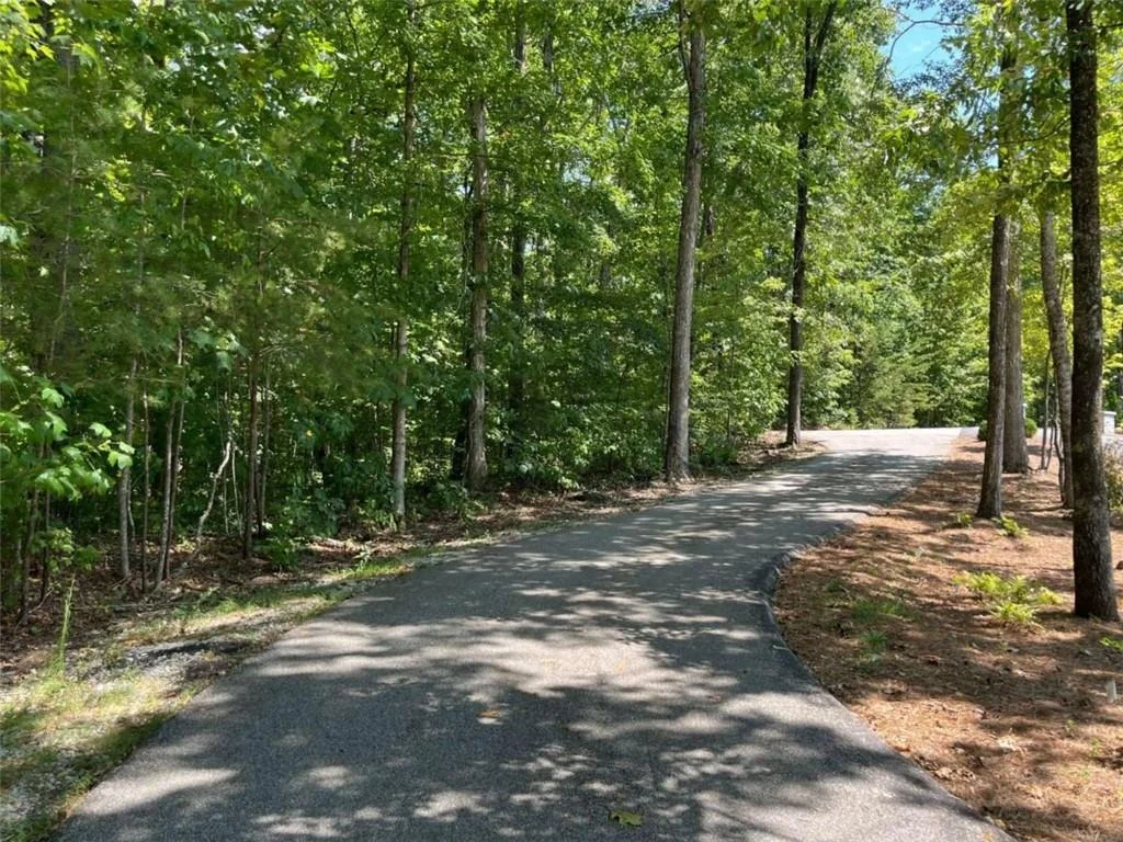 Photo of LOT 7 Forest Canopy Way