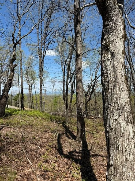 Photo of 161 Sharp Mountain Parkway