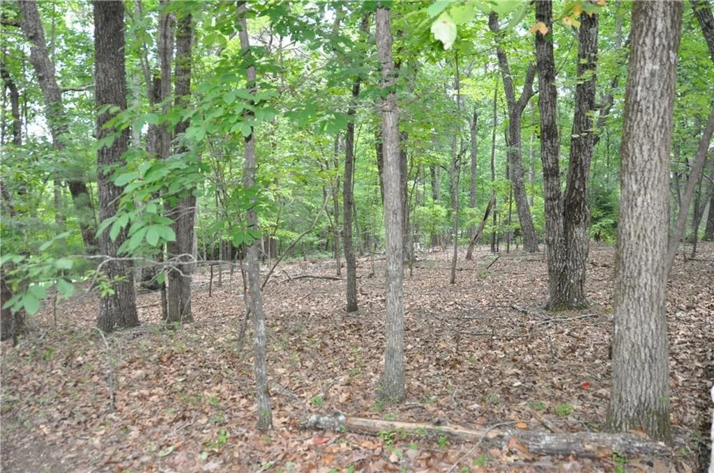 Photo of 2468 Wedgewood Drive