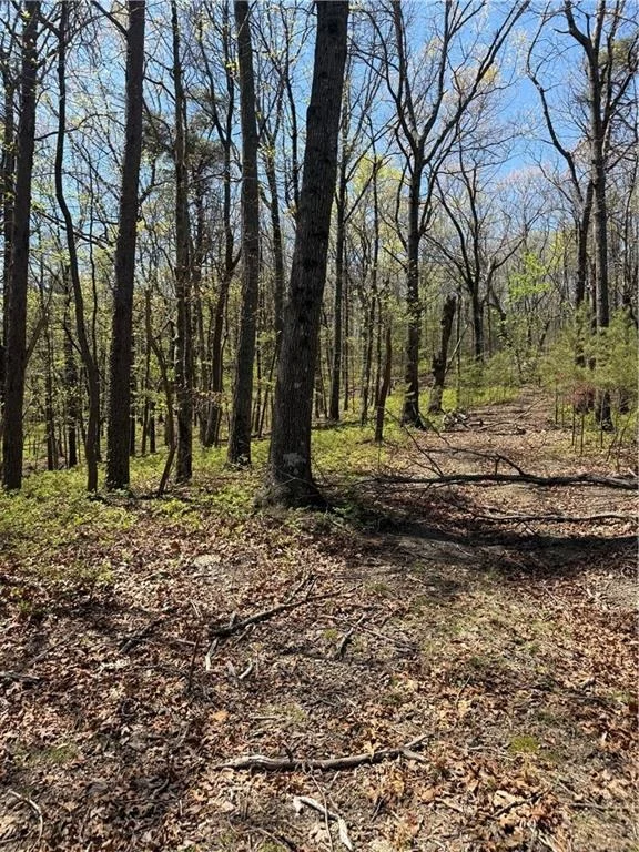 Photo of 161 Sharp Mountain Parkway
