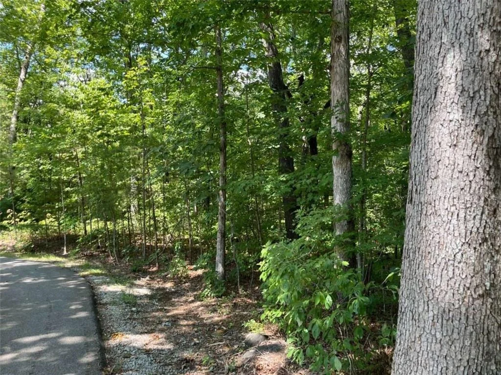 Photo of LOT 7 Forest Canopy Way