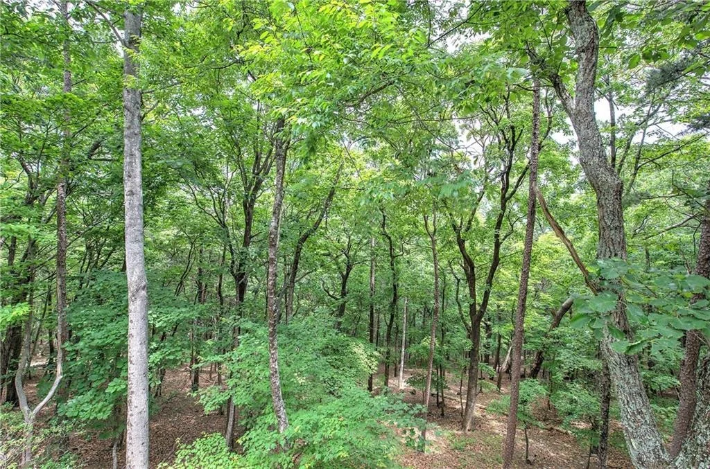 Photo of 214 South View Trail