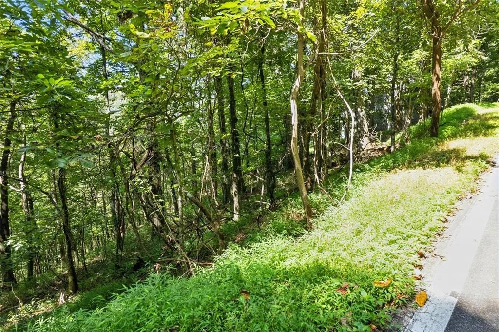 Photo of 1207 Deer Run Ridge