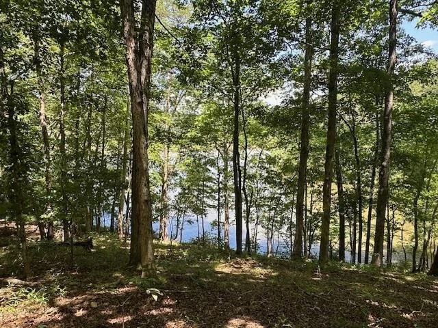 Photo of 6592 Huckleberry Lane