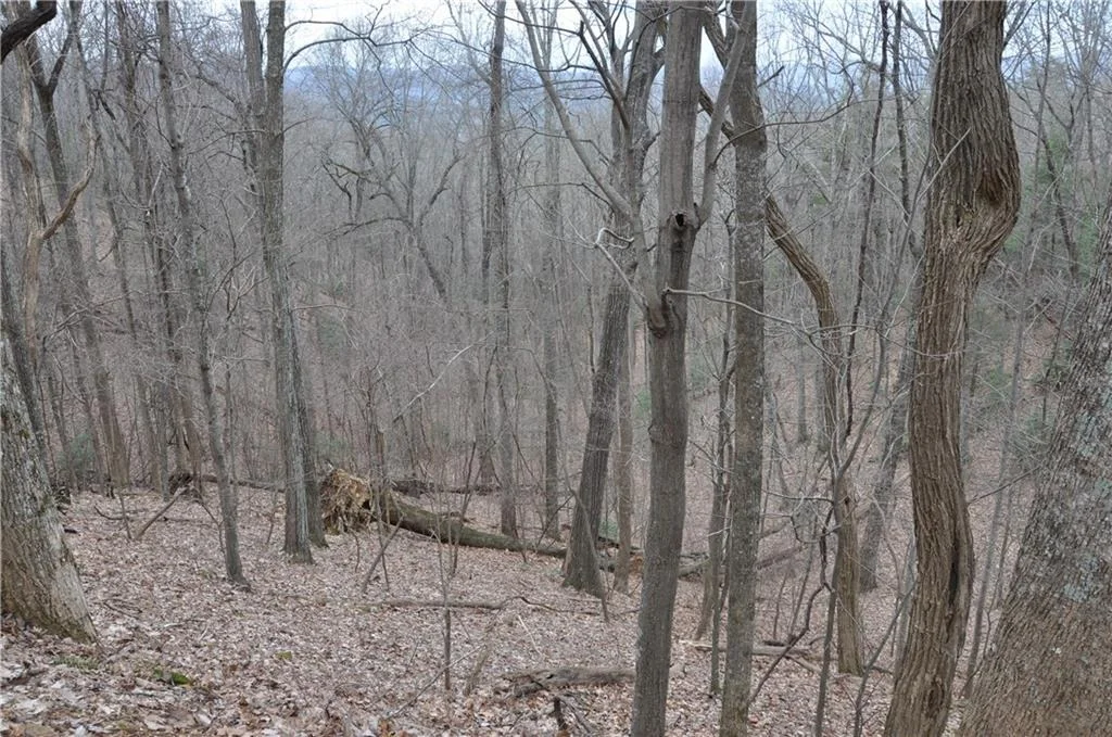 Photo of 3012 Wild Turkey Bluff
