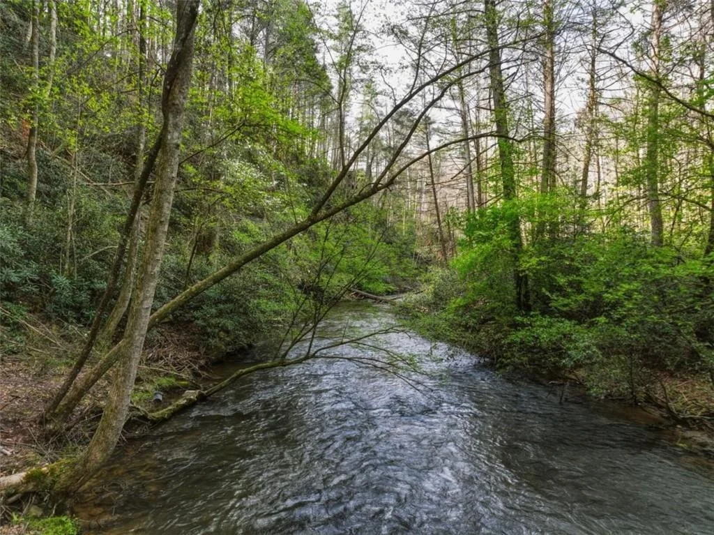 Photo of 58 River Road