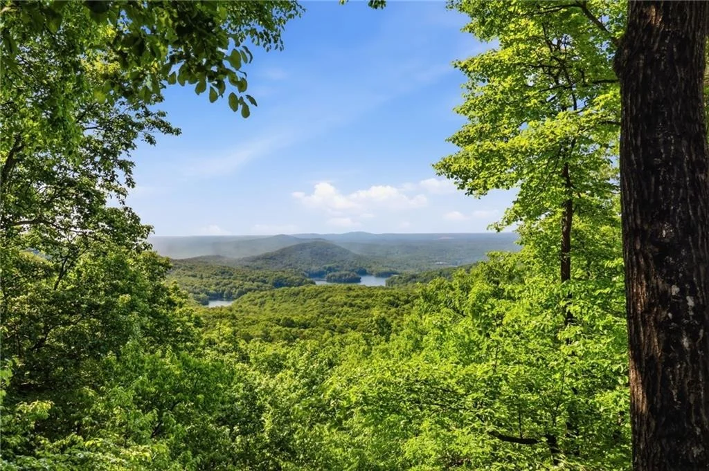 Photo of 1115 Wild Turkey Bluff