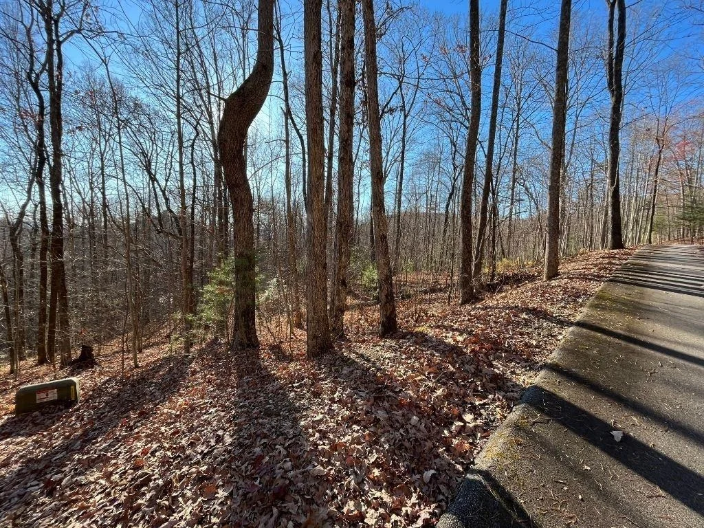 Photo of LOT #2 Forest Canopy Way