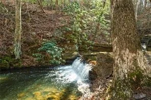 Photo of 37 Petit Ridge Drive