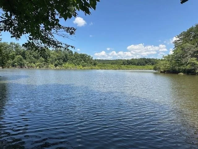 Photo of 6592 Huckleberry Lane