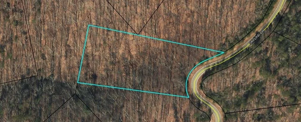 Photo of 7345 Skyline Drive