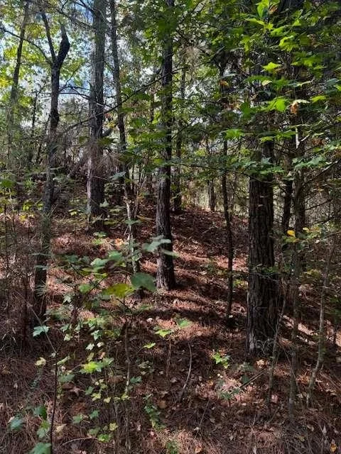 Photo of 230 Dodgen Road
