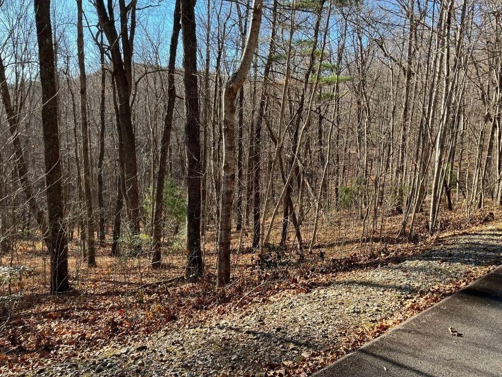 Photo of LOT #1 Forest Canopy Way