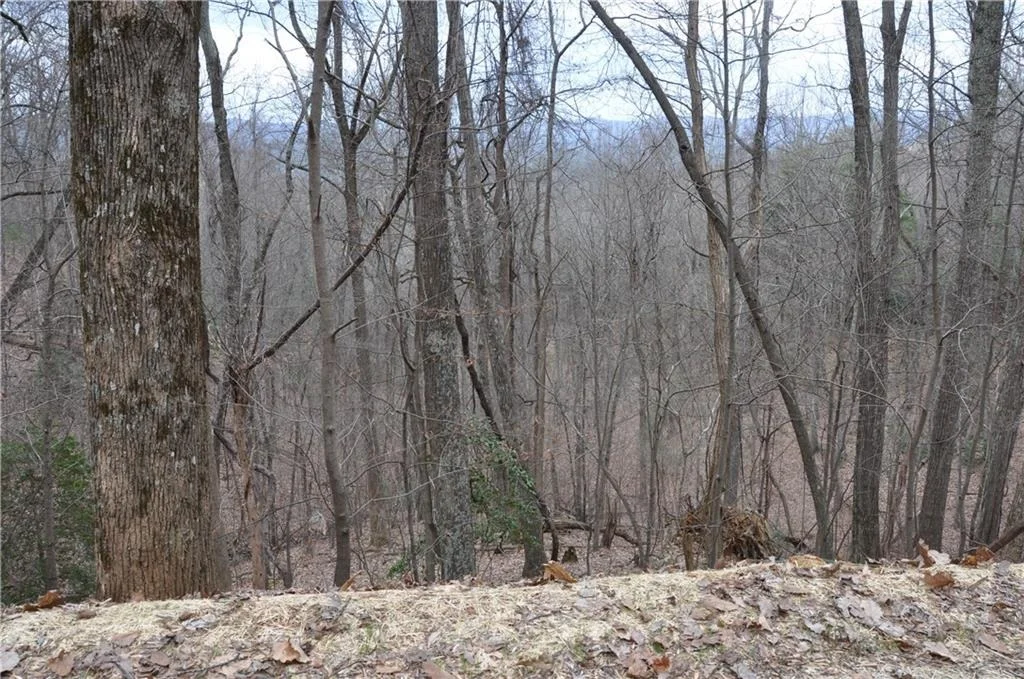 Photo of 3012 Wild Turkey Bluff
