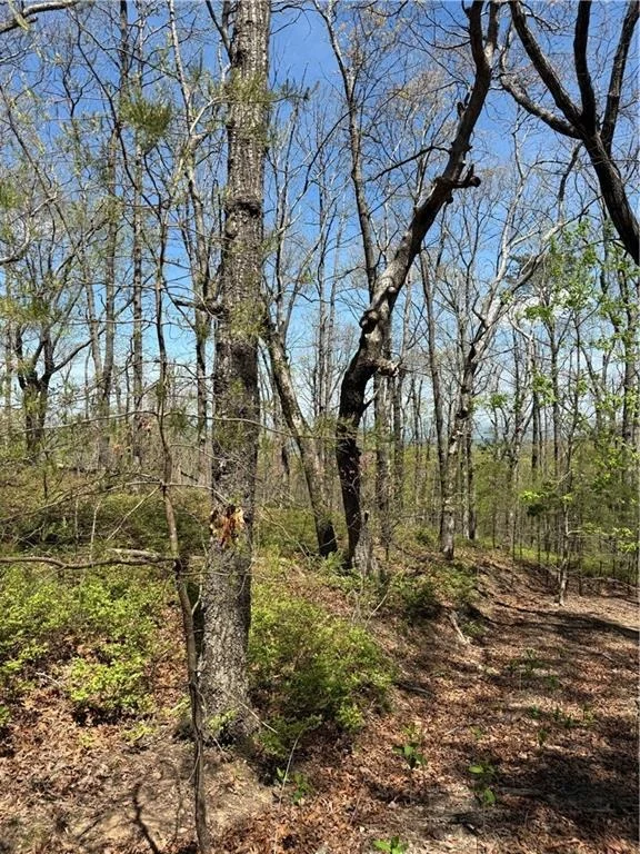 Photo of 161 Sharp Mountain Parkway