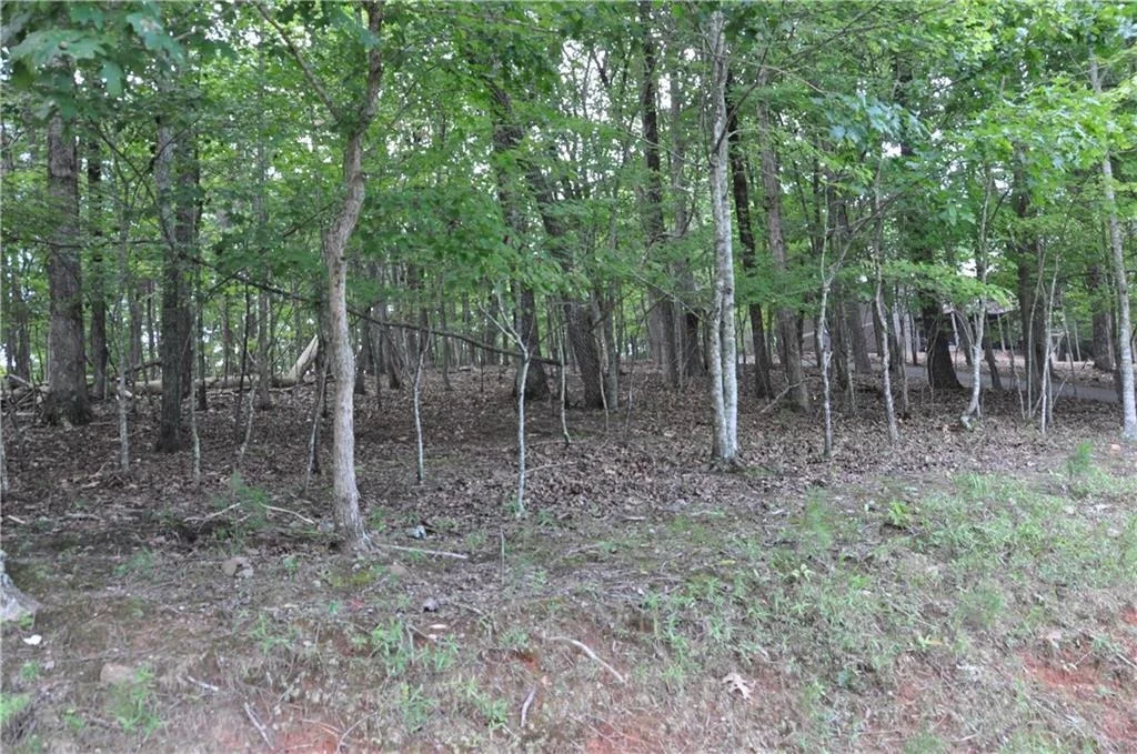 Photo of 2468 Wedgewood Drive