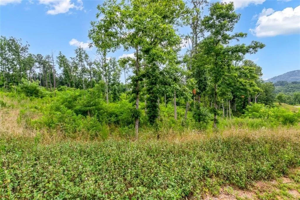 Photo of LT 207 Oak Park Drive