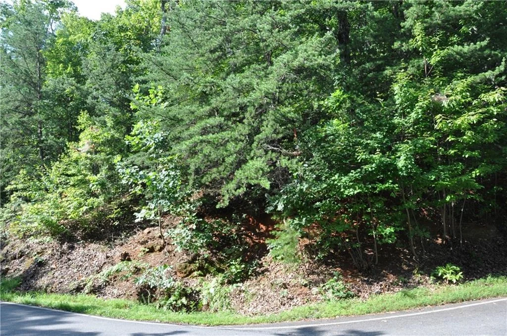 Photo of 8261 Cox Mountain Drive