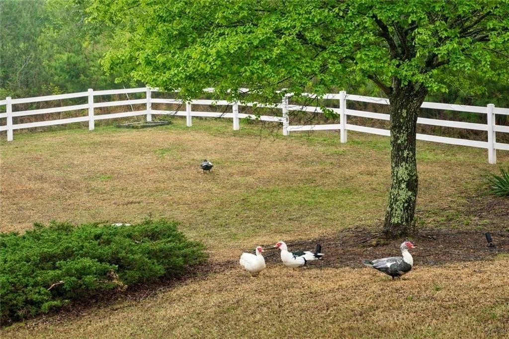 Photo of 3350 Old Thompson Mill Road
