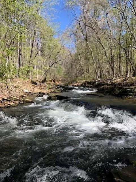 Photo of 300 Sassafras Mountain Trail