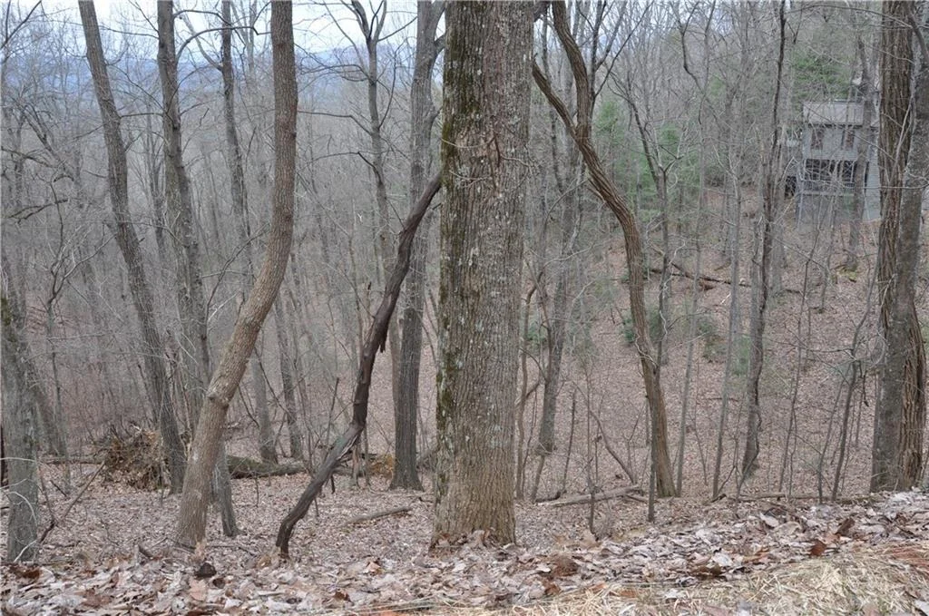 Photo of 3012 Wild Turkey Bluff