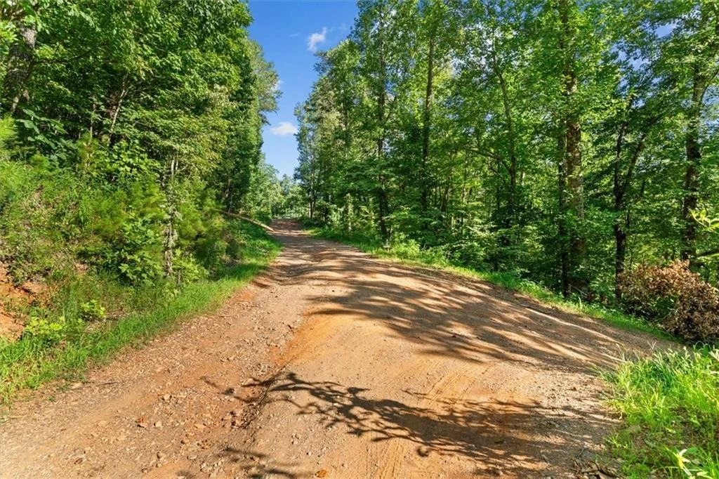 Photo of Lot 4 Firetower Rd