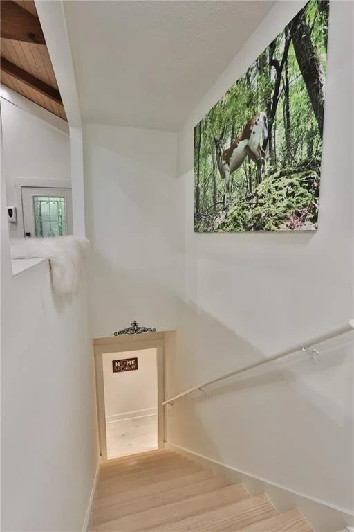 Photo of 273 Indian Pipe Drive