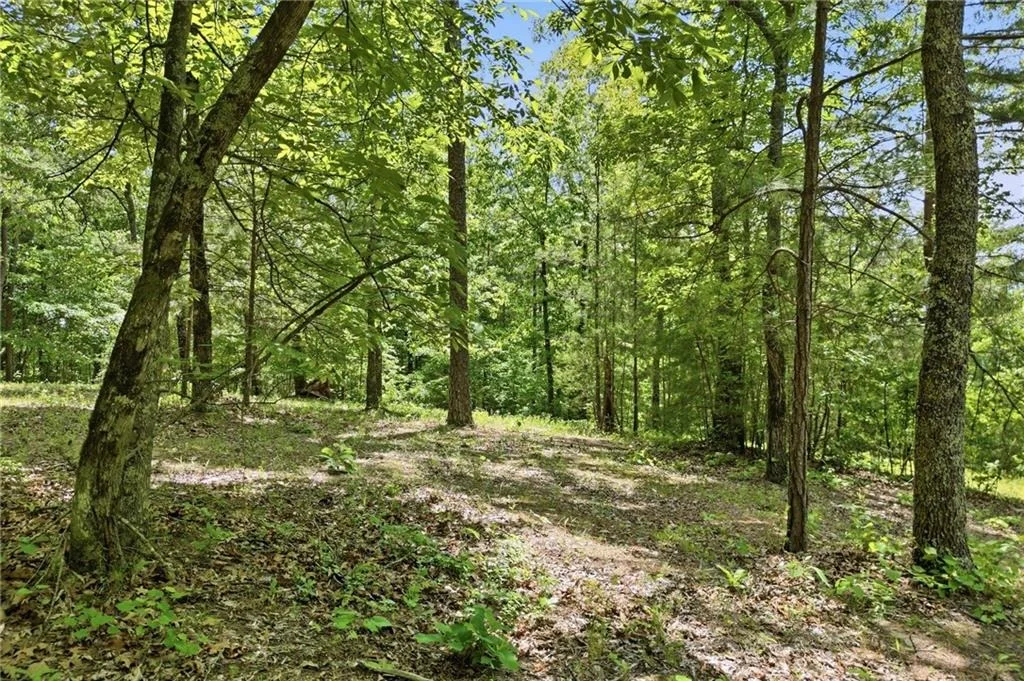 Photo of 1709 Harrington Road