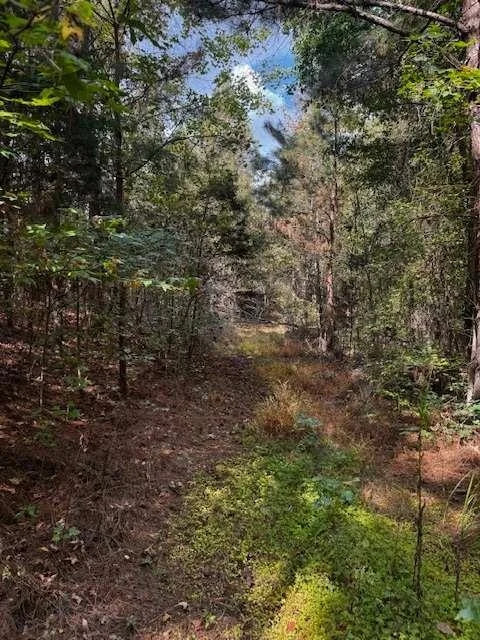 Photo of 230 Dodgen Road