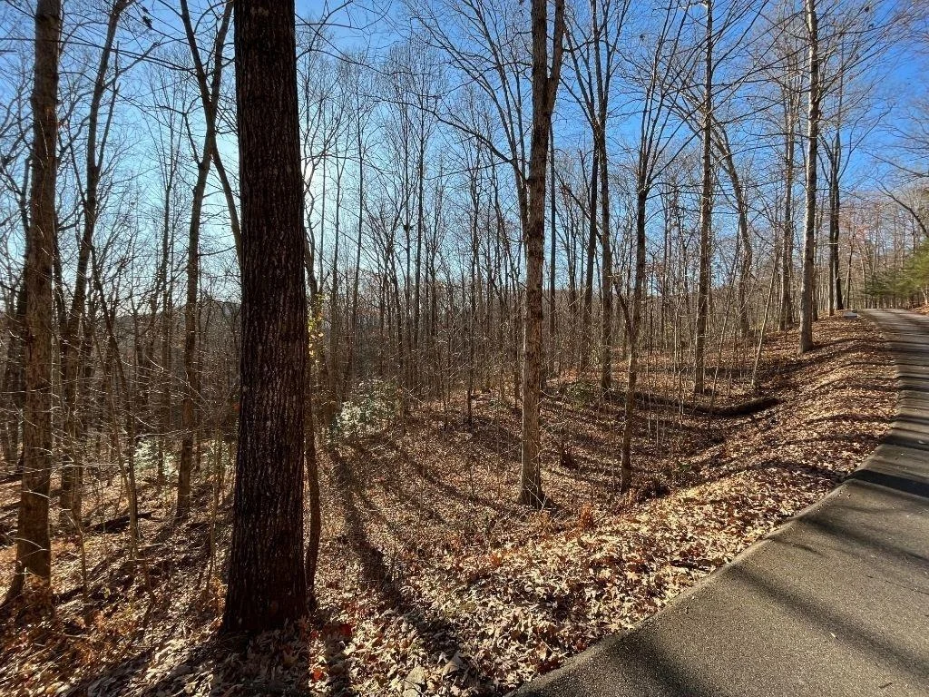 Photo of LOT #2 Forest Canopy Way