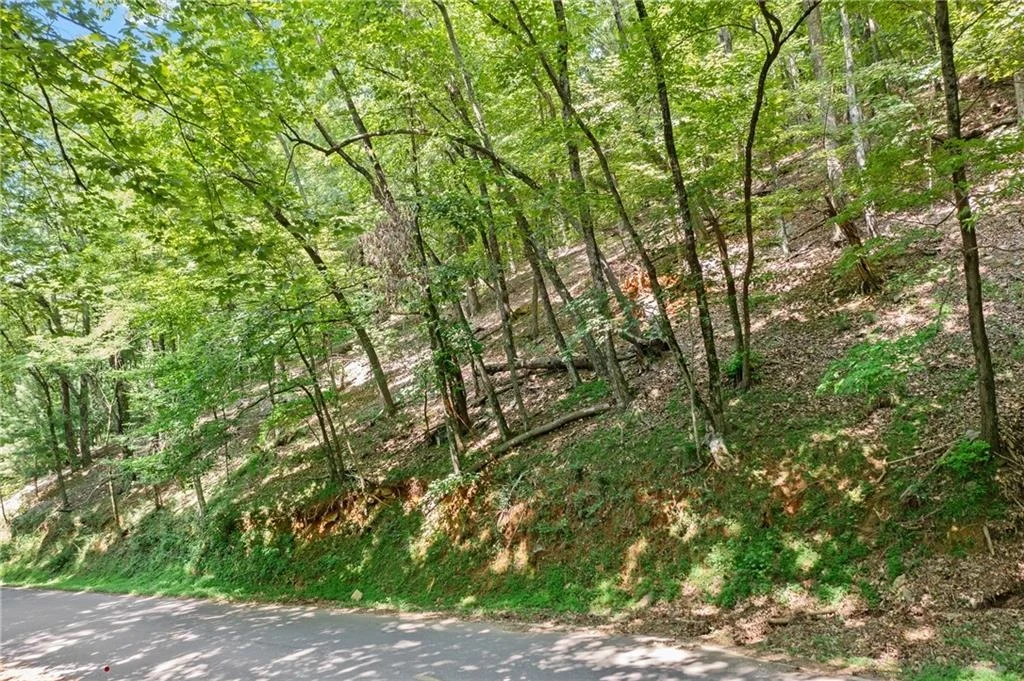 Photo of 37 Petit Ridge Drive