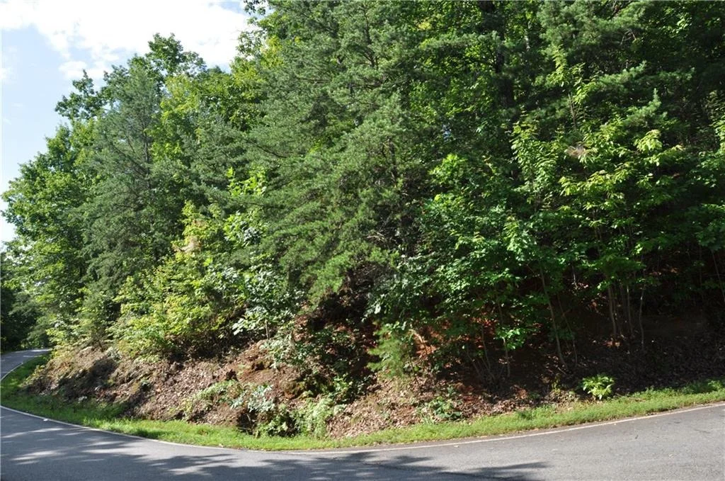 Photo of 8261 Cox Mountain Drive