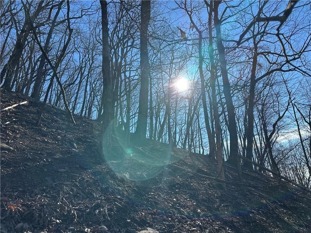 Photo of Lt1535 Moss Patch Trail