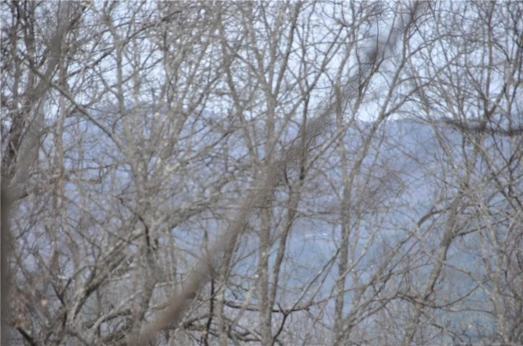 Photo of 3012 Wild Turkey Bluff