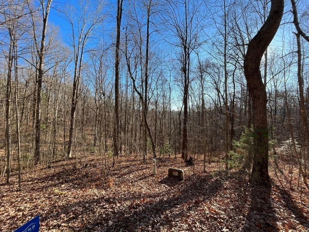 Photo of LOT #2 Forest Canopy Way