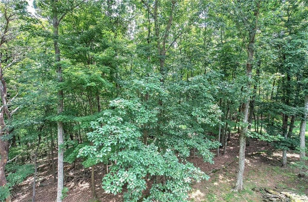 Photo of 376 Alpine Drive