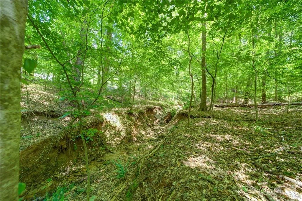 Photo of 1981 Mountain Road