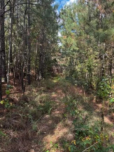Photo of 230 Dodgen Road