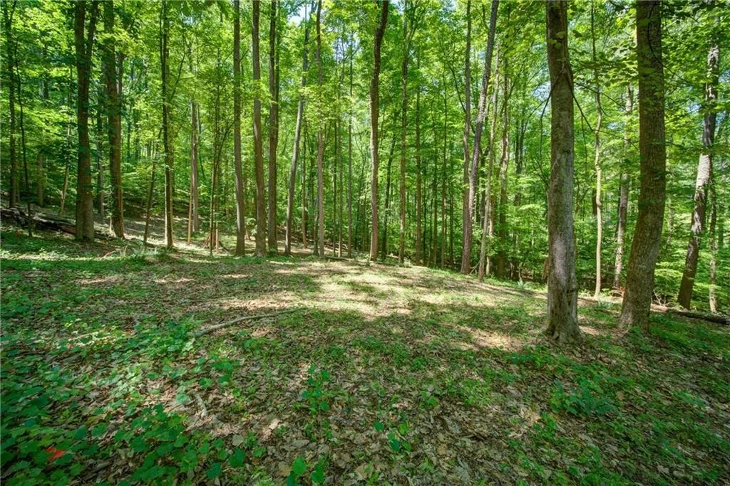 Photo of 1981 Mountain Road